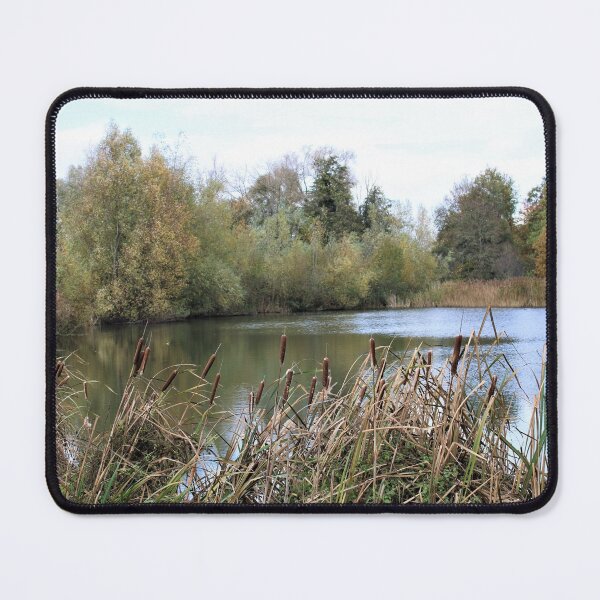 Item preview, Cattails in urban nature reserve, Ghent designed and sold by wineandwords.