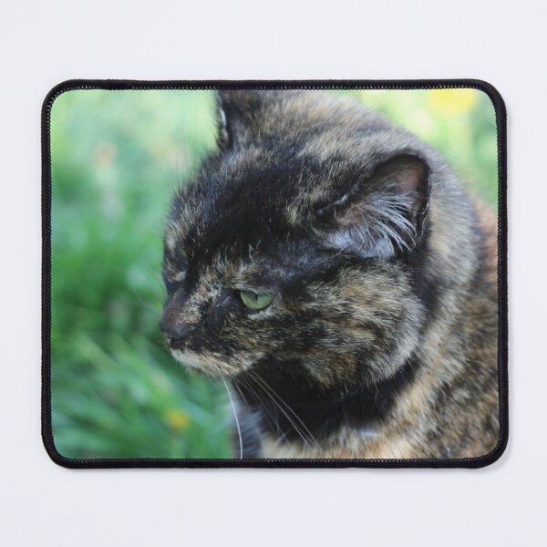 Item preview, tortoiseshell cat looking miffed designed and sold by wineandwords.