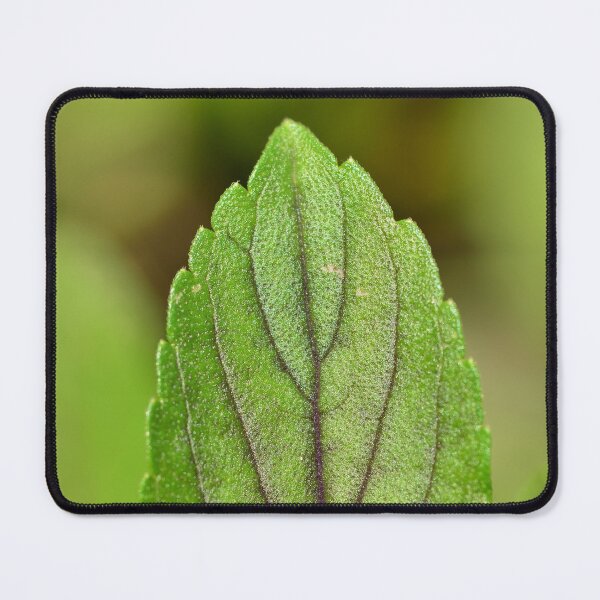 Item preview, Purple basil leaf in the urban garden designed and sold by wineandwords.