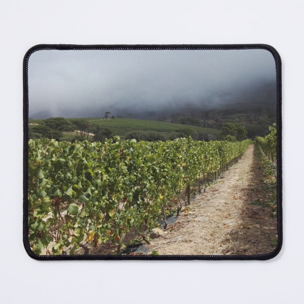 Item preview, Vineyard in the mist Western Cape South Africa designed and sold by wineandwords.