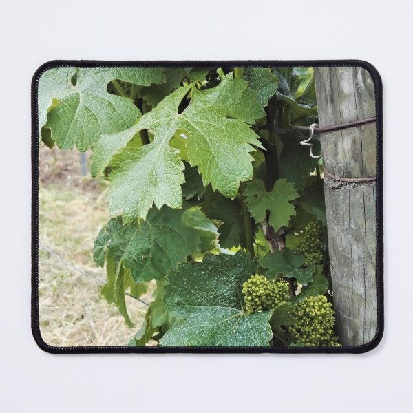 Item preview, Wine and vine photography: grape flowers designed and sold by wineandwords.
