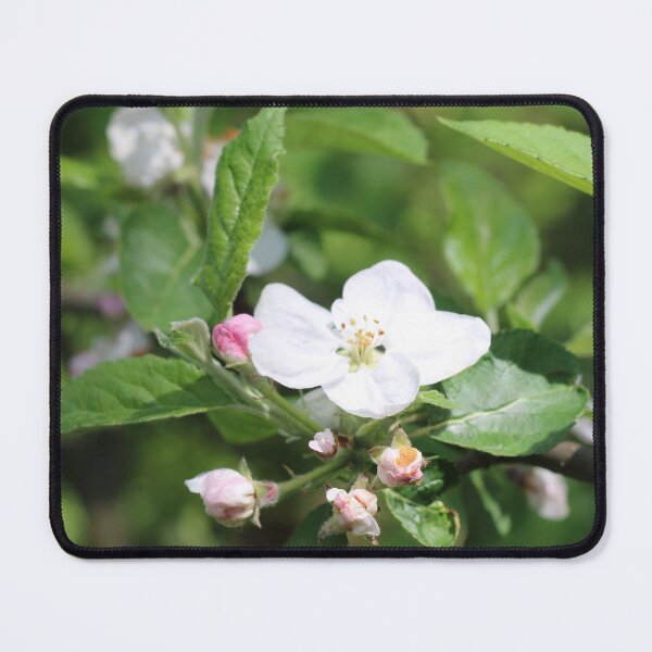 Item preview, Apple blossoms in the urban garden. designed and sold by wineandwords.