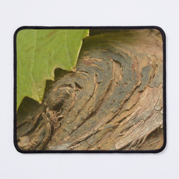 Item preview, Wine and vine photography: grapevine wood and leaf designed and sold by wineandwords.