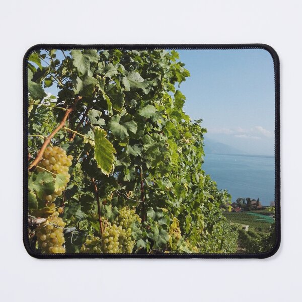 Item preview, Chasselas in Grand Cru vineyards - Vaud, Switzerland. designed and sold by wineandwords.