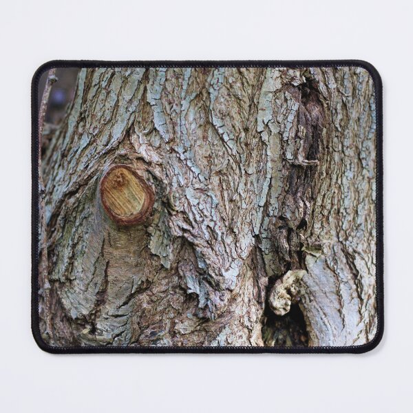 Item preview, Tree knot in urban nature reserve, Ghent designed and sold by wineandwords.