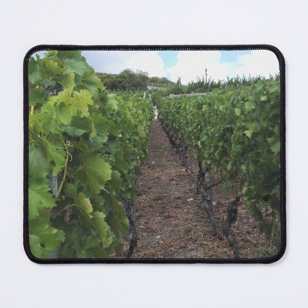 Item preview, Vineyard in Northeast Germany designed and sold by wineandwords.