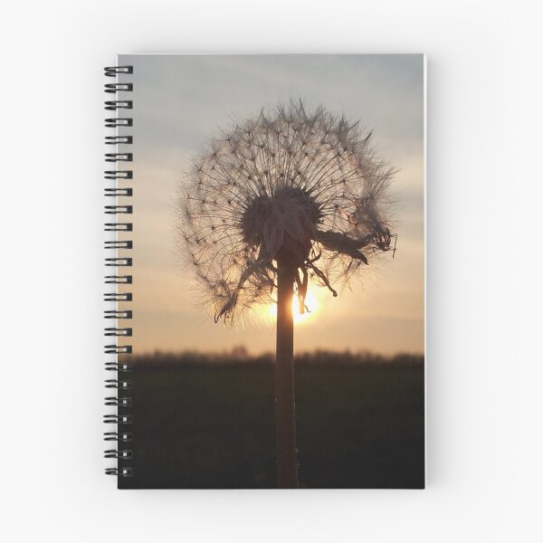 Item preview, Dandelion sunset designed and sold by oilycake.