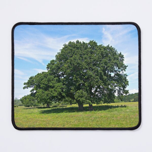 Item preview, The Trees designed and sold by ColinBoylett.