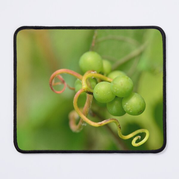Item preview, Grapes and vine tendrils designed and sold by wineandwords.