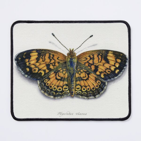 Item preview, Pearl Crescent Butterfly designed and sold by Himmapaan.