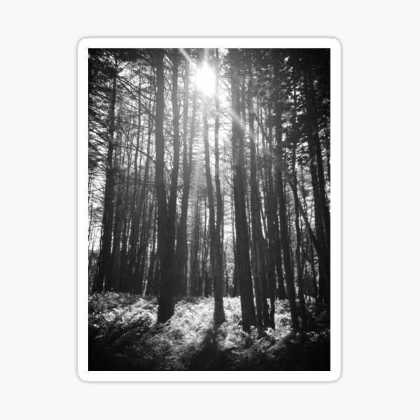 "Pillars Of The Sun" Sticker for Sale by Mlhamblin Redbubble