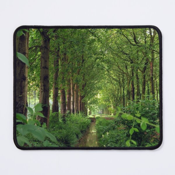 Item preview, Enchanting forest lane portrait. designed and sold by wineandwords.