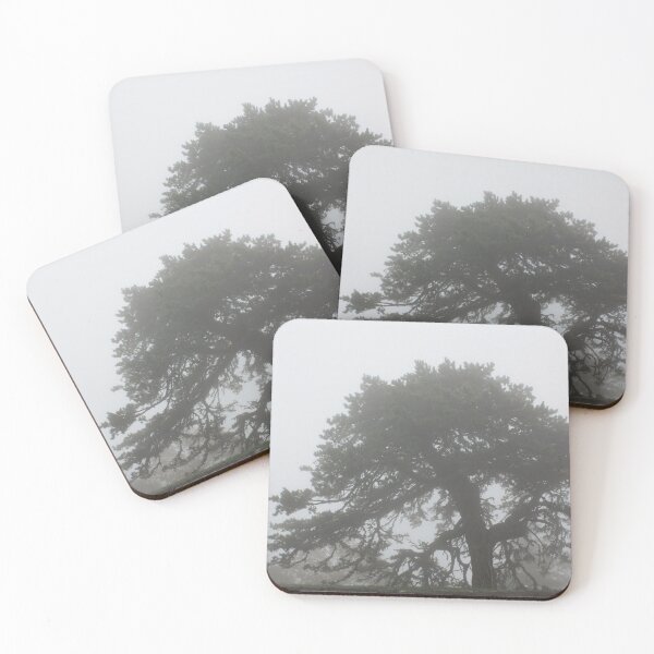 Item preview, In the pines, in the pines, where the sun never shines... designed and sold by chstudios.