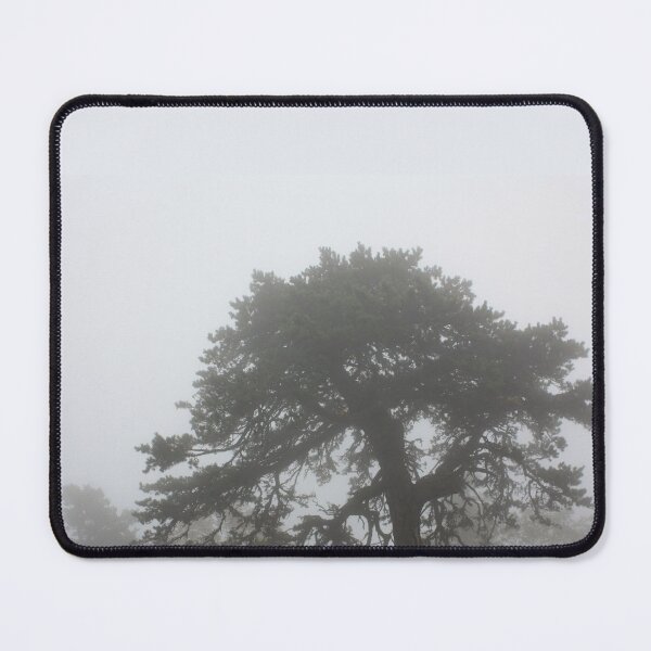 Item preview, In the pines, in the pines, where the sun never shines... designed and sold by chstudios.
