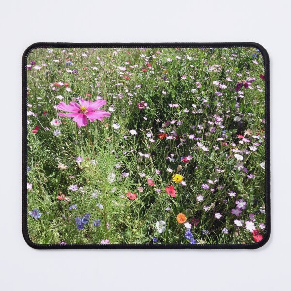 Aperçu de l'œuvre Prairie de fleurs sauvages en France créée et vendue par wineandwords.
