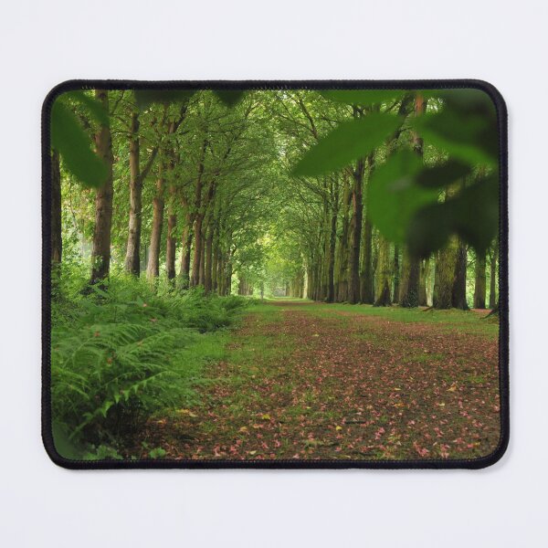 Item preview, Enchanting forest lane. designed and sold by wineandwords.