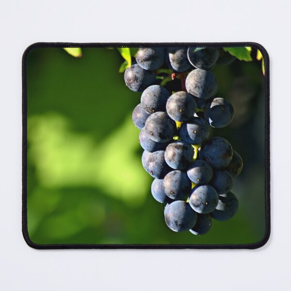 Item preview, Black wine grapes designed and sold by wineandwords.