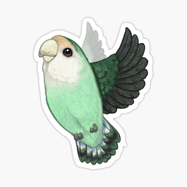 Item preview, Seafoam Lovebird designed and sold by Renee LeCompte.