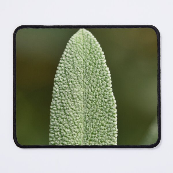 Item preview, Herbs - sage leaf designed and sold by wineandwords.