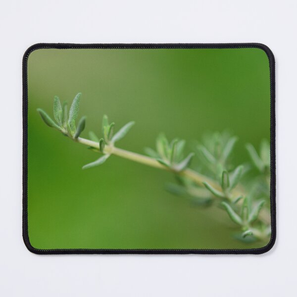Item preview, Garden herbs - a sprig of thyme designed and sold by wineandwords.