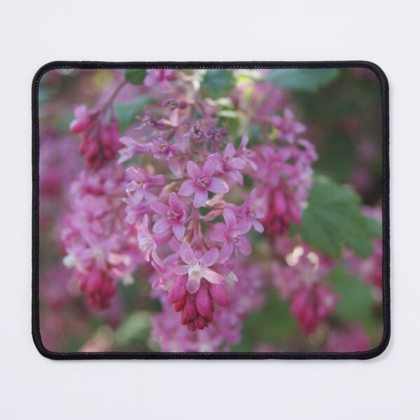Item preview, Pink Flowers designed and sold by Hidden-Eagle.