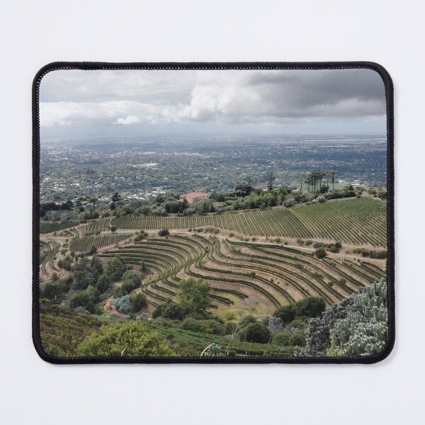 Item preview, Vineyards in Constantia, South Africa designed and sold by wineandwords.