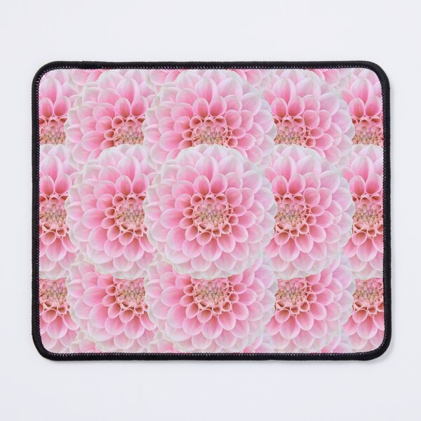 Item preview, Pink Dahlia Flower Still Life Floral Photography designed and sold by CottoVerdi.