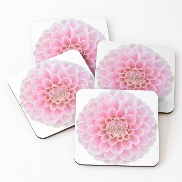 Item preview, Pink Dahlia Flower Still Life Floral Photography designed and sold by CottoVerdi.