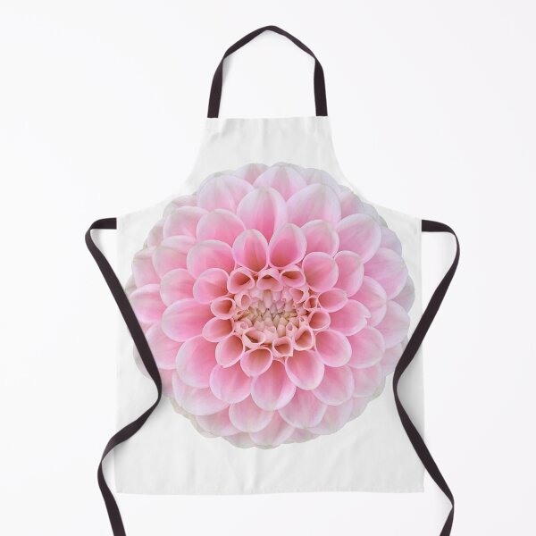 Item preview, Pink Dahlia Flower Still Life Floral Photography designed and sold by CottoVerdi.