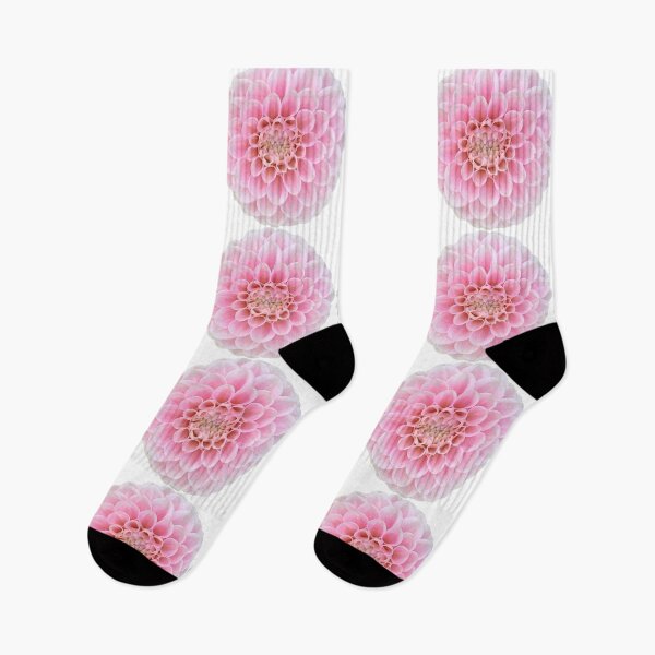 Item preview, Pink Dahlia Flower Still Life Floral Photography designed and sold by CottoVerdi.