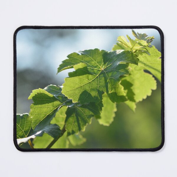 Item preview, Wine and vine photography: vine leaves designed and sold by wineandwords.