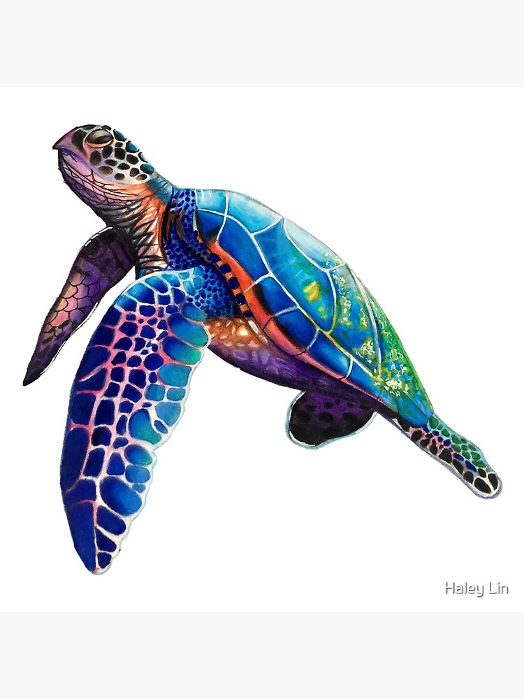 Rainbow Sea Turtle – Brush Tips Art Studio