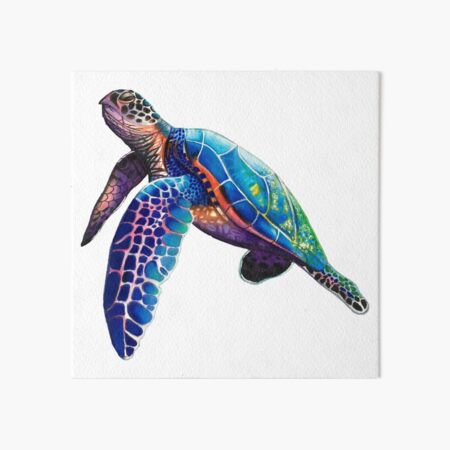 Pride Rainbow Sea Turtle Art Board Print for Sale by