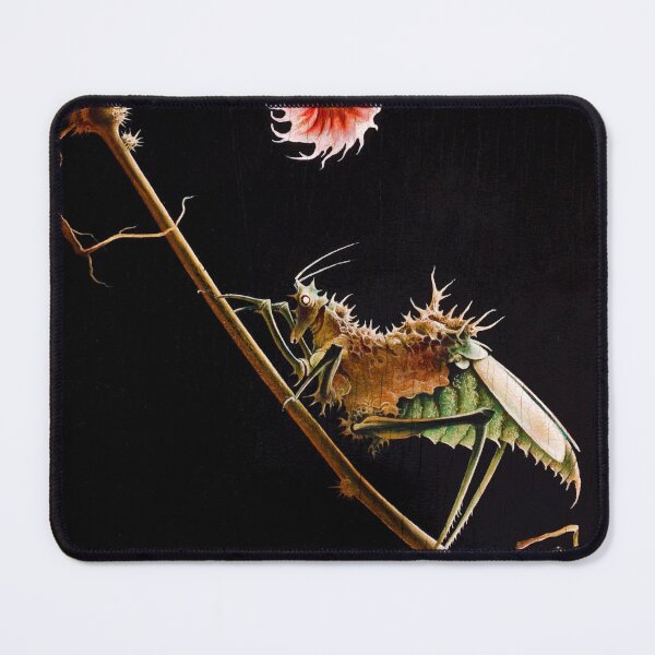 Item preview, Franz Sedlacek - Insect and Blossoms designed and sold by ArtExpression.