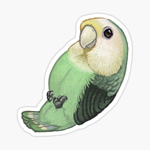 Item preview, Whiteface Cinammon Lovebird designed and sold by Renee LeCompte.