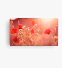 Red Flower Canvas Print