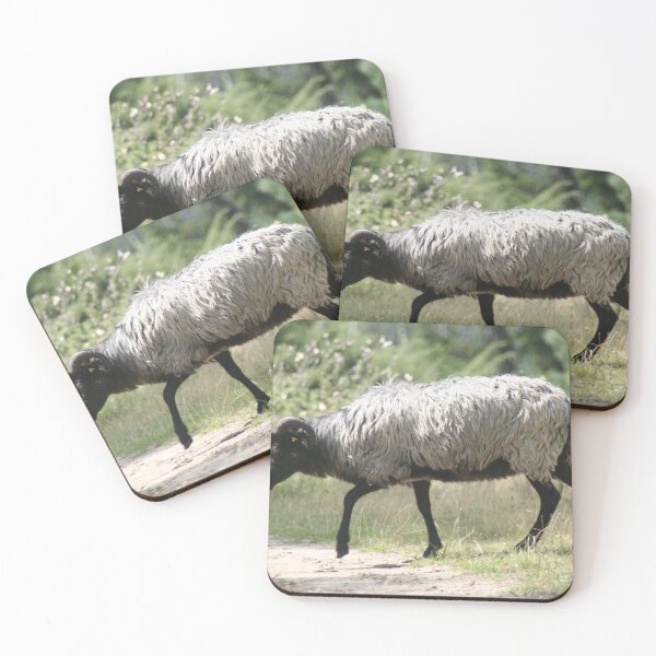Item preview, Sheep designed and sold by Calidris Fotografie Steffi & Ben Köppler.