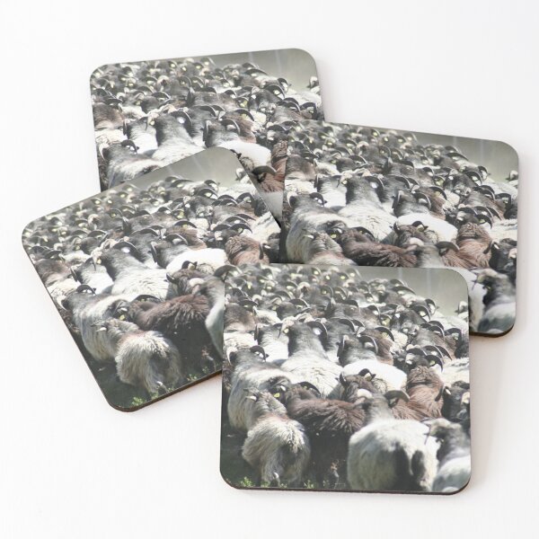 Item preview, Herd of Sheep designed and sold by Calidris Fotografie Steffi & Ben Köppler.