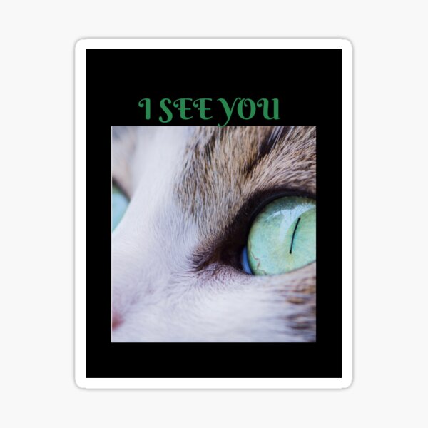 Cats… I See You Sticker