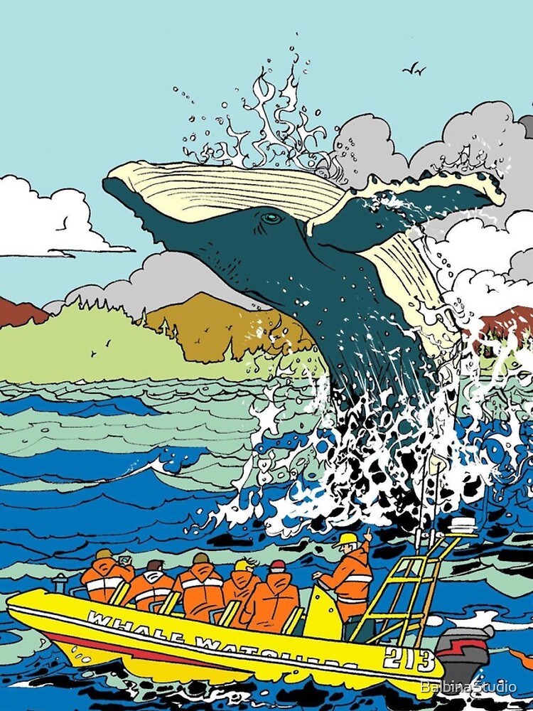 Jumping Whale by BalbinaStudio