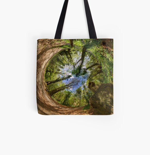 Squirrel Sculpture in Prehen Woods, Derry - Sky In All Over Print Tote Bag