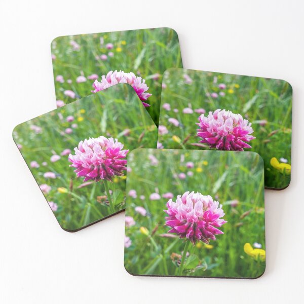 Item preview, H0114 Red Clover designed and sold by photographyemd.