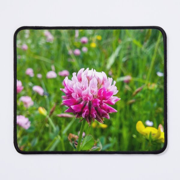 Item preview, H0114 Red Clover designed and sold by photographyemd.