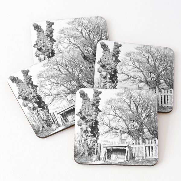 Item preview, Old Tree near Chatham circa 1850s designed and sold by photefaux.