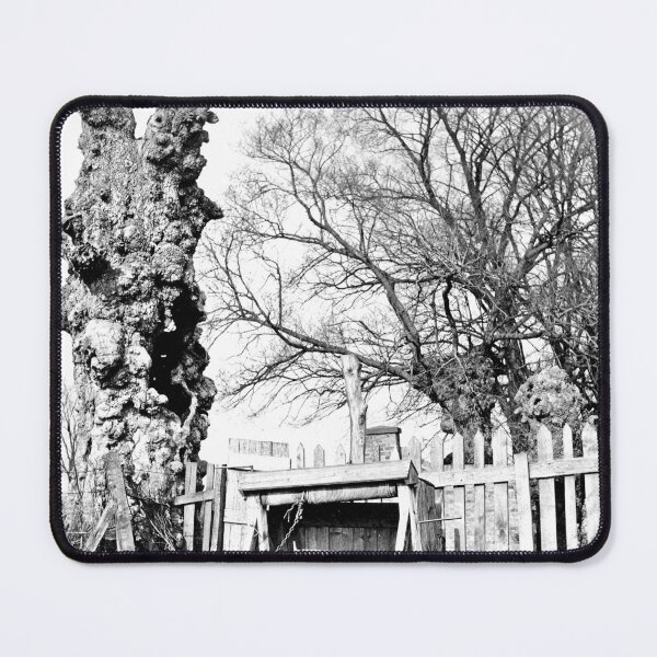 Item preview, Old Tree near Chatham circa 1850s designed and sold by photefaux.