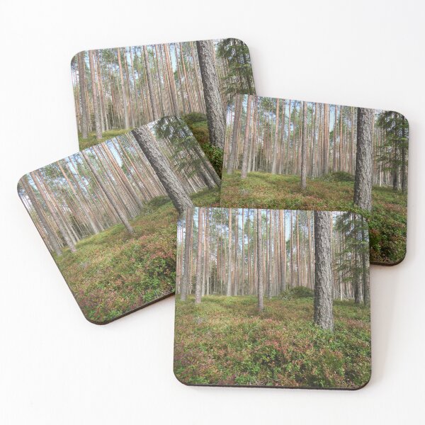 Item preview, First colors of the fall. Seitseminen National Park designed and sold by Jouko Lehto Photography.