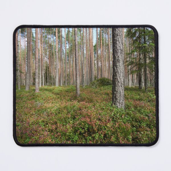 Item preview, First colors of the fall. Seitseminen National Park designed and sold by Jouko Lehto Photography.
