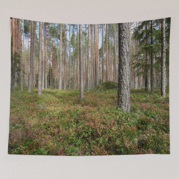 Item preview, First colors of the fall. Seitseminen National Park designed and sold by Jouko Lehto Photography.