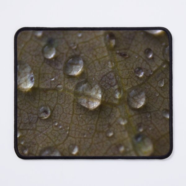 Item preview, H0115 Raindrops designed and sold by photographyemd.