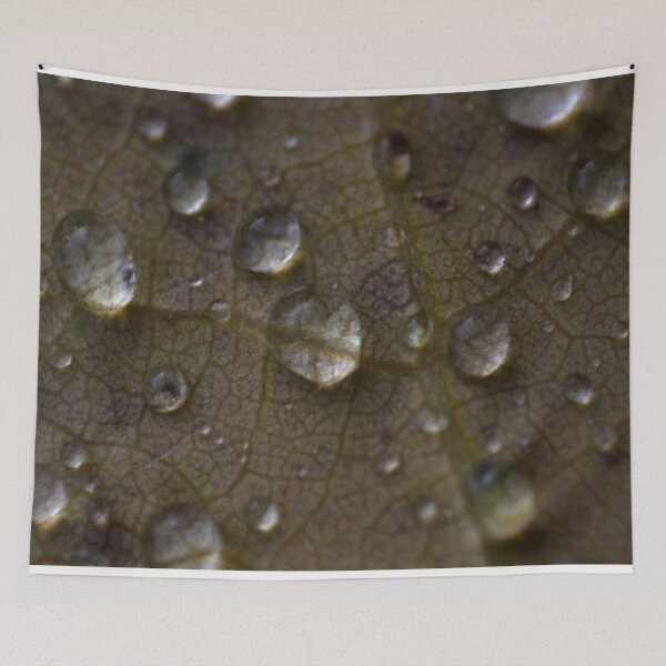 Item preview, H0115 Raindrops designed and sold by photographyemd.